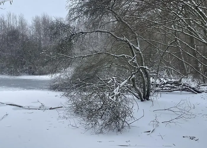 Macasa Et Table D'hote Bed and Breakfast *