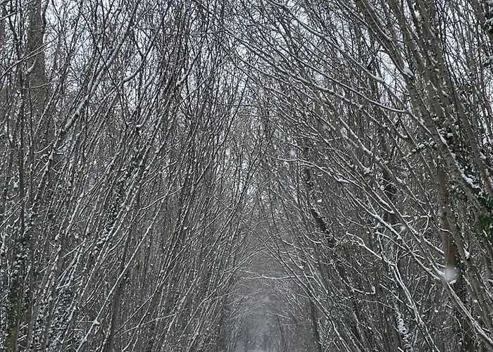 Macasa Et Table D'hote Coolus